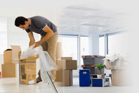 Mandy Moving & Packing: Brunswick logo