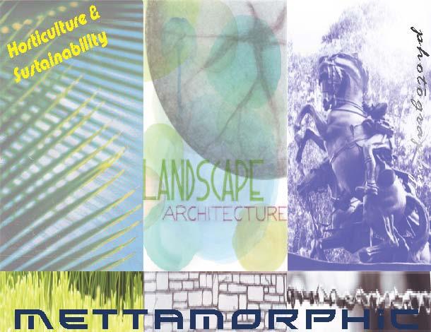Mettamorphic