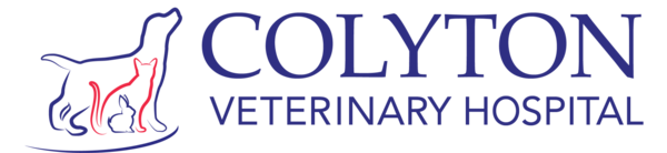 Colyton Veterinary Hospital