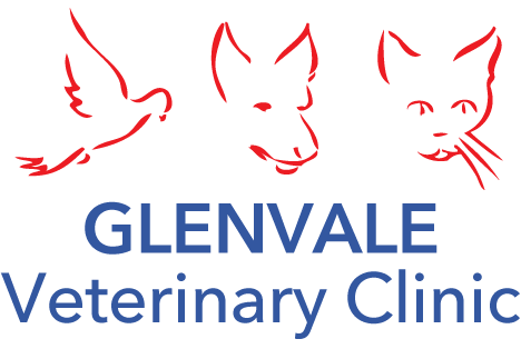 Glenvale Veterinary Clinic