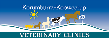Korumburra Veterinary Clinic