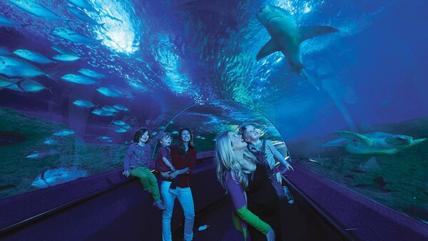 Aqwa-The Aquarium Of Western Australia