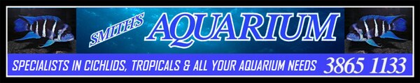 Smith's Aquarium