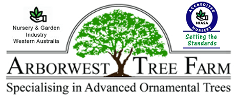Arborwest Tree Farm