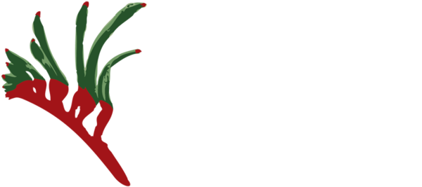 Austplant