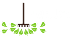 Tempo Two