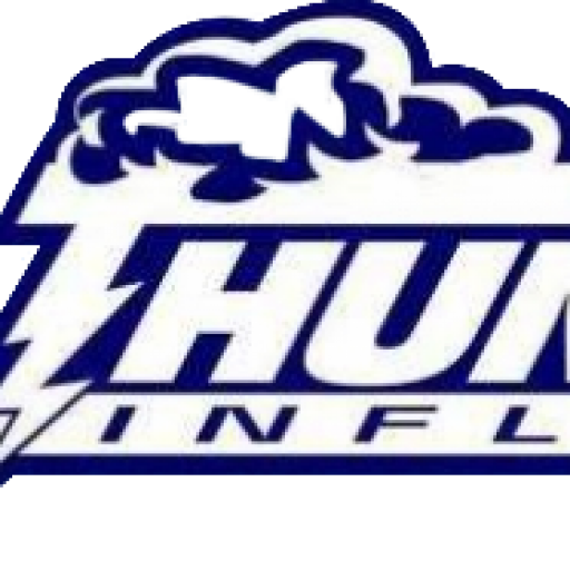 Thundercat Inflatables