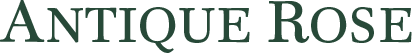 Antique Rose Florist