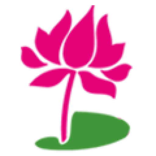 Lillypads