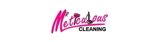 Mr Meticulous