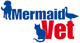 Mermaid Waters Veterinary Surgery