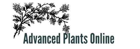 Advanced Plants