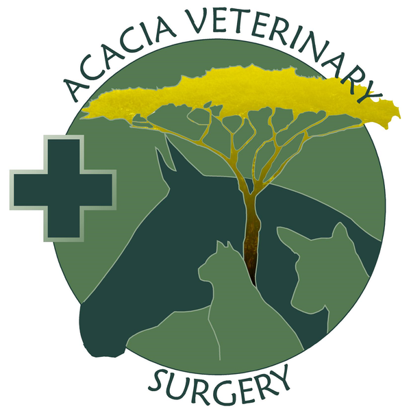 Acacia Vet Surgery