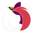 Air Niugini