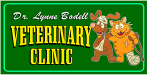 Lynne M Bodell 