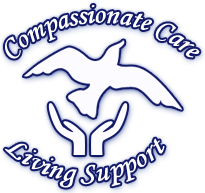 Little Haven Palliative Care Inc