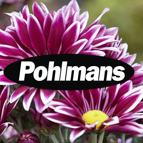 Pohlman's Nursery