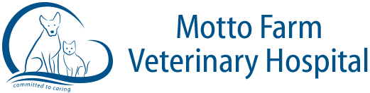 Motto Farm Veterinary Hospital