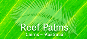 Reef Palms Motel