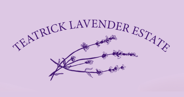 Teatrick Lavender Estate