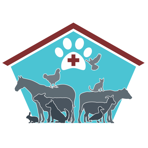Dapto Veterinary Clinic