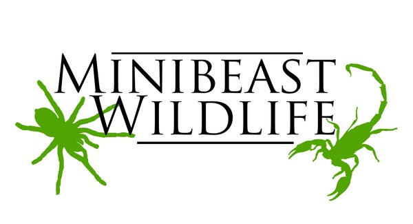 Minibeast Wildlife
