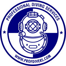 Professional Diving Services