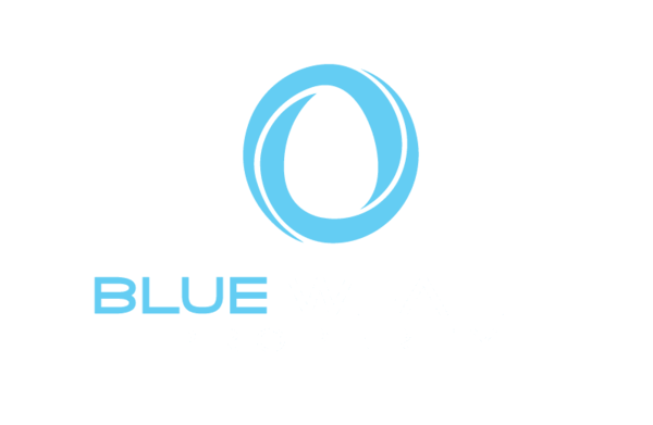 Blue Wealth Property