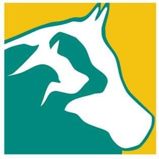 Kyogle Veterinary Clinic