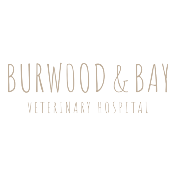 Burwood Road Veterinary Clinic