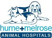 Melrose Animal Hospital