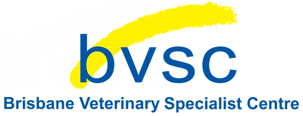 Bvsc