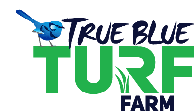 True Blue Turf