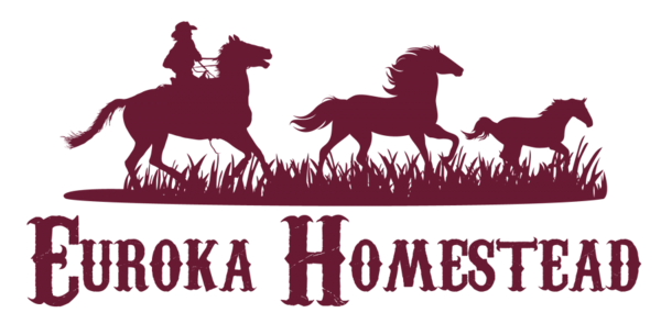 Euroka Homestead