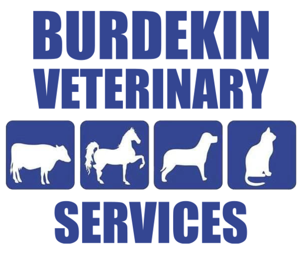 Burdekin Veterinary Services Pty Ltd
