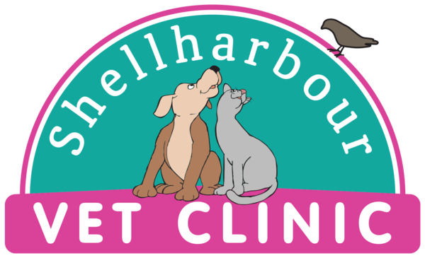 Shellharbour Veterinary Clinic & Petcare Centre