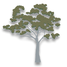 Rivergum Building Services Pty Ltd