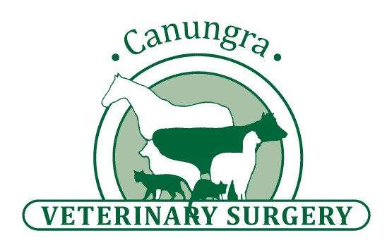 Canungra Veterinary Surgery