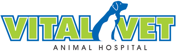 Vital Vet Animal Hospital