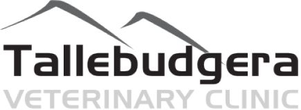 Tallebudgera Veterinary Clinic