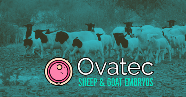 Ovatec Pty Ltd logo