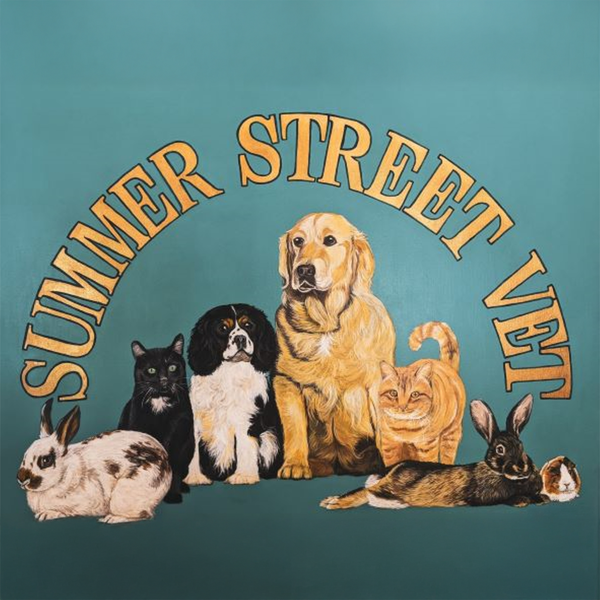 Summer Street Vet Clinic