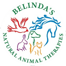 Belinda's Natural Animal Therapies