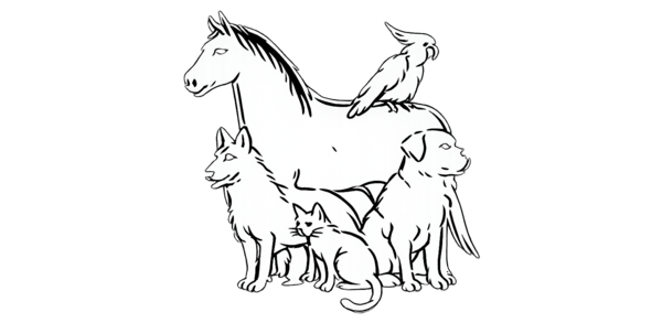 Animal Education