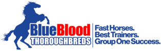 Blueblood Thoroughbreds Aust Pty Ltd