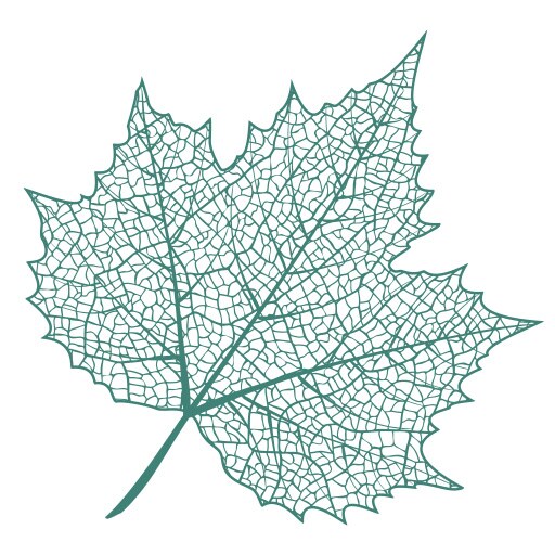 Maple Tree Psychology