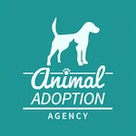 Animal Adoption Agency