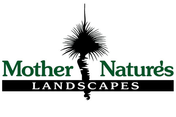 Mother Nature's Landscapes