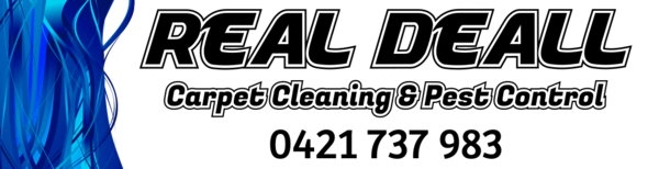 Real Deall Carpet Cleaning