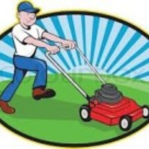 Cheap Lawn Mowing